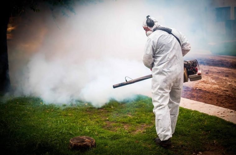 fumigacion de mosquito